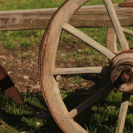 Rajkova Divana Дом отдыха