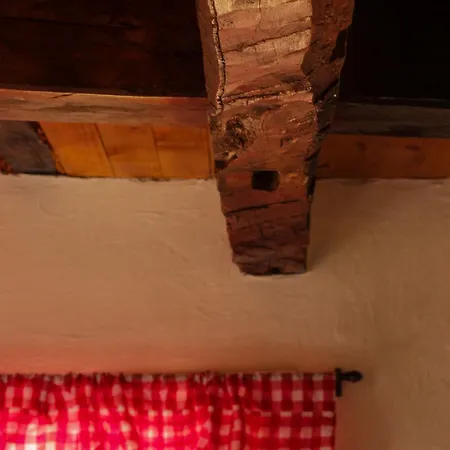 Rajkova Divana 別荘 *