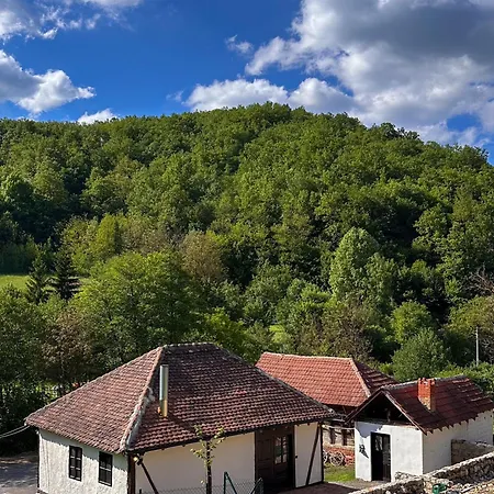 Rajkova Divana * Krepoljin